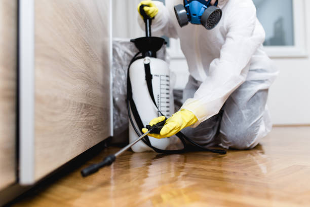 Best Mosquito Control Services  in Arcadia, LA