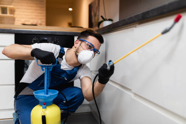 Best Exterminator Services  in Arcadia, LA