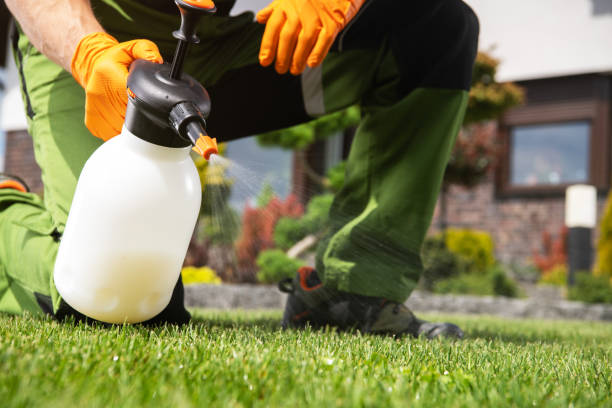 Best Emergency Pest Control  in Arcadia, LA