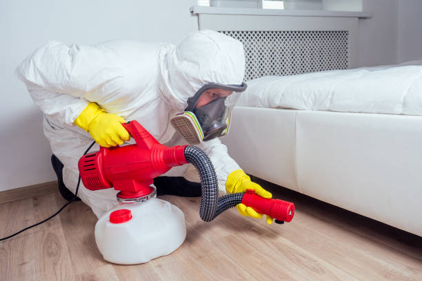 Insect Control in Arcadia, LA