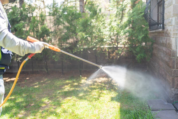 Best Bed Bug Extermination  in Arcadia, LA