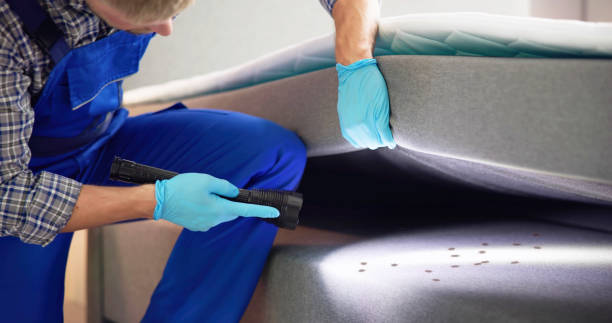 Best Best Pest Control Companies  in Arcadia, LA