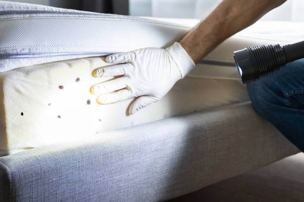 Best Pest Removal Services  in Arcadia, LA