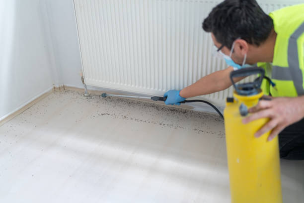 Best Pest Inspection Near Me  in Arcadia, LA